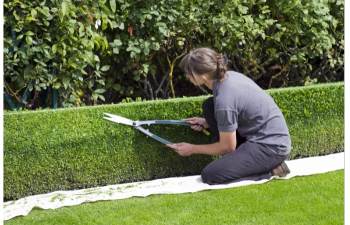 Landscaping